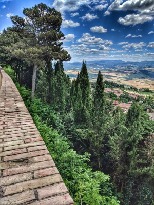 The beautiful toscana