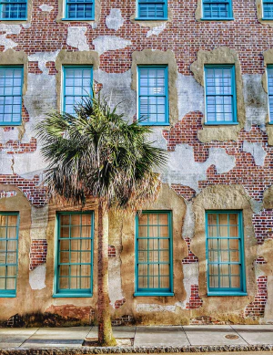 charleston classic contrast