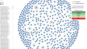 Seeing the network